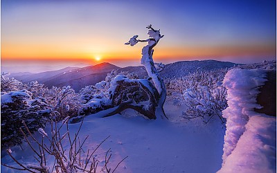 태백산이래유~!!