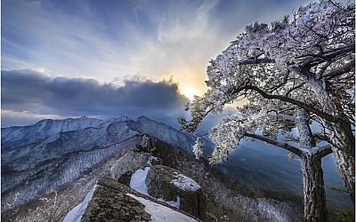 氷花를 찾아서 ~!!!