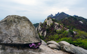 도봉산 포대능선의 봄