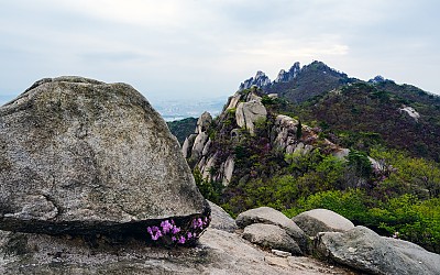 도봉산 포대능선의 봄