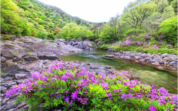 수달래 계곡~!!!