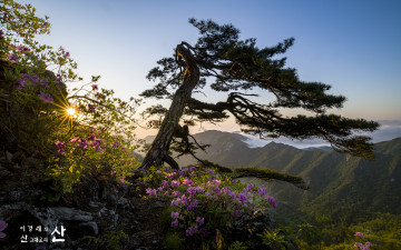 계룡산에서~(2023)