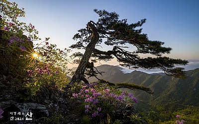 계룡산에서~(2023)