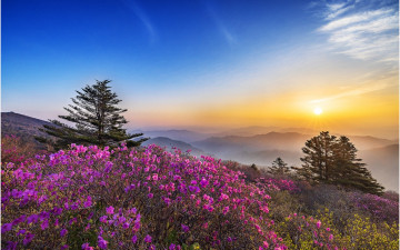 덕유산 아침 !!!