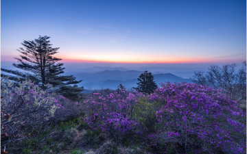 덕유산 여명이어라 !!!