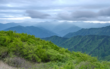 반야를 바라보다...