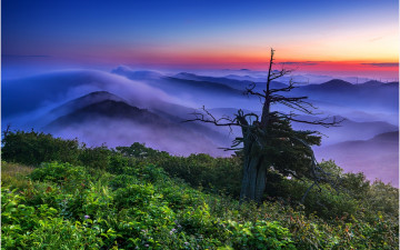 함백산이래유 !!!