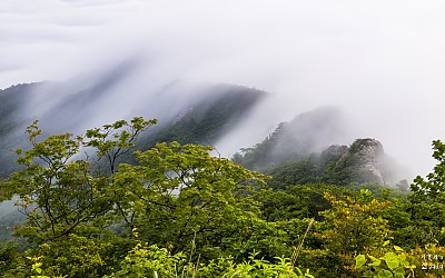돗대봉 능선