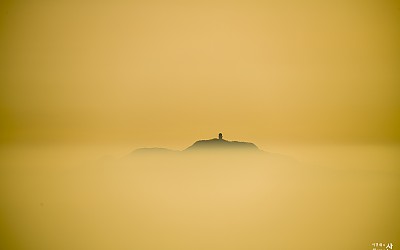 이런날도~~