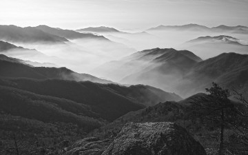 화개골의 아침(지리산)