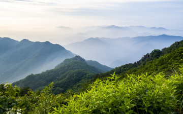 초여름날의 대둔산