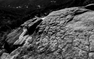 거북이 도봉산에...