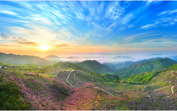 황매산 버드뷰 파노라마 !!!