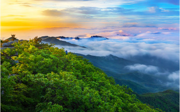 아듀~ 팔공산 !!!