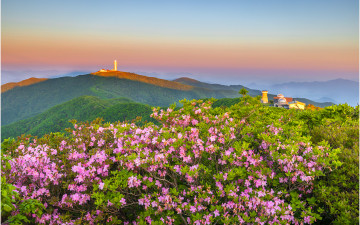 蓮花峰 戀歌~!!!