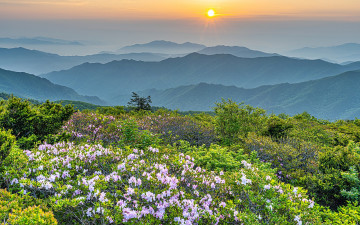 [한국산악사진가협회봄 출사]