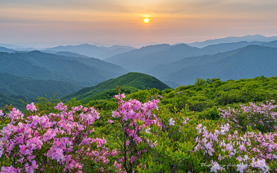 ⛰️ 지리산 만복대, 철쭉과 함께 맞이한 흐린 일출