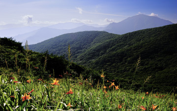 사라진 풍경(만복대 가는길)