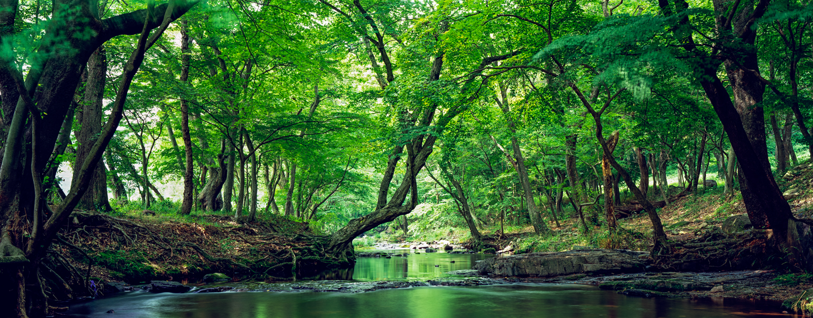 0453e8b8170a80de4f44e62d01a722f1_1752282413_2119.jpg 0453e8b8170a80de4f44e62d01a722f1_1752282413_2119.jpg