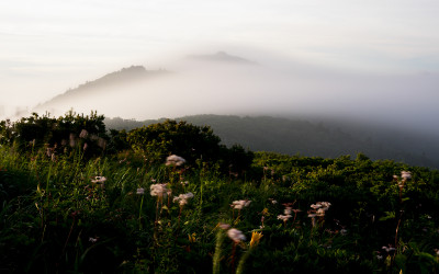 섬이 된 향적봉