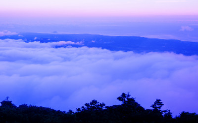 한라산의 여름-11