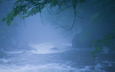 한라산의 여름-20