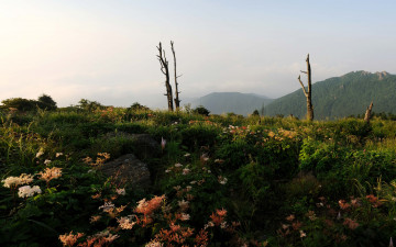 제석봉 지리터리풀