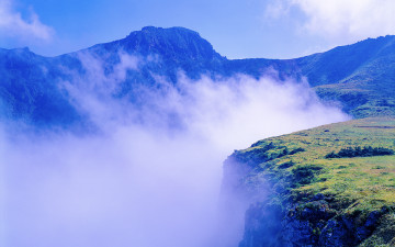 한라산의 여름-7