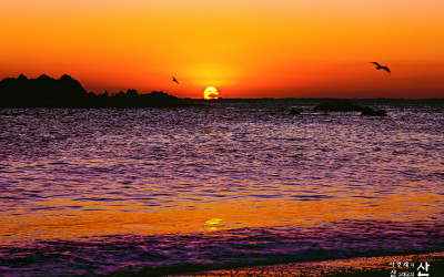 일출-사람얼굴로 떠오르던 날