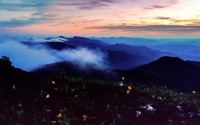 원추리  핀 풍경