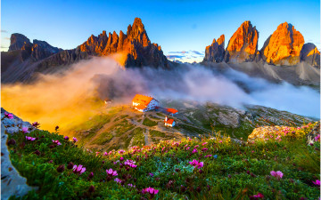 환희의 아침 !!!