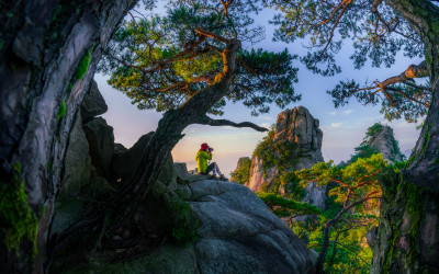 소나무 틈새로 바라본 자운봉