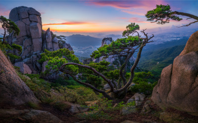 도봉산 명품 소나무