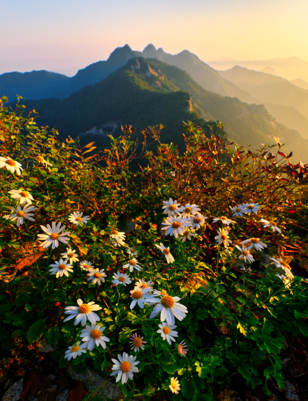 661b05cf20a67a9cbce670f4a6c63f8b_1760579404_1651.jpg 661b05cf20a67a9cbce670f4a6c63f8b_1760579404_1651.jpg