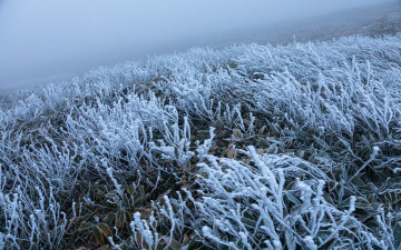산행-598 윗세오름-선작지왓