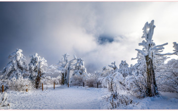 태백산의 추억_2024-02-26
