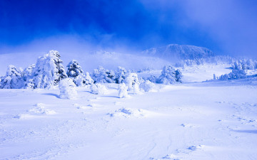 어리목 트렉에서-