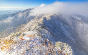 계룡산 자연성능 !!!