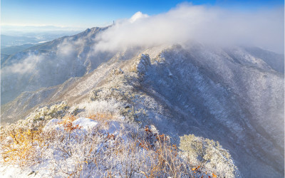 계룡산 자연성능 !!!