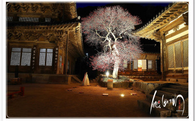 구례 화엄사 출사길에...