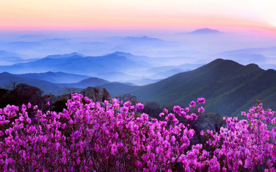 우리 산악 사진가에  마음 설레이게  하는 봄 - 대둔산