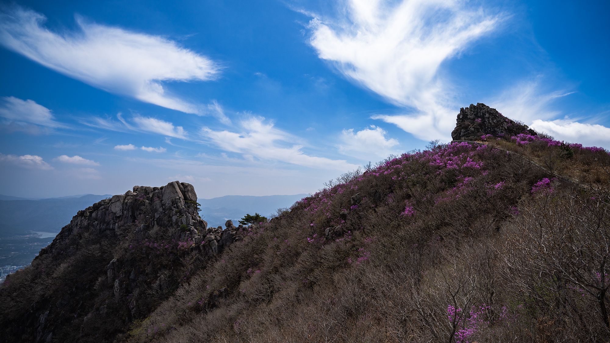 9c7a244b0ea51dd9c0bf708fe3b97e4d_1775395266_4993.jpg 9c7a244b0ea51dd9c0bf708fe3b97e4d_1775395266_4993.jpg