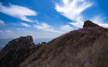 금정산 의 봄 (2026, 04, 05) - 금정산