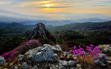 금정산의 봄 - 금정산