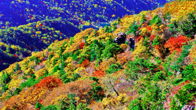 추억의지리산   108 박황윤