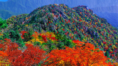 추억의지리산    135     박환윤