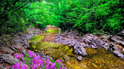 추억의지리산   54