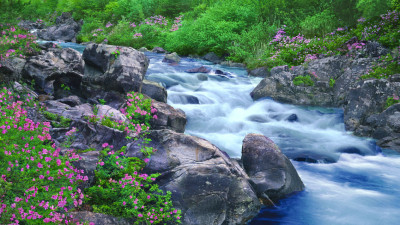 추억의 지리산  83