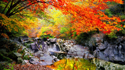 추억의지리산  50