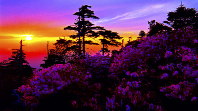 추억의 지리산   38